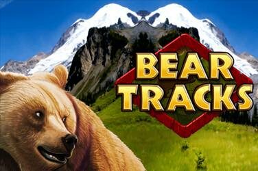 Bear tracks